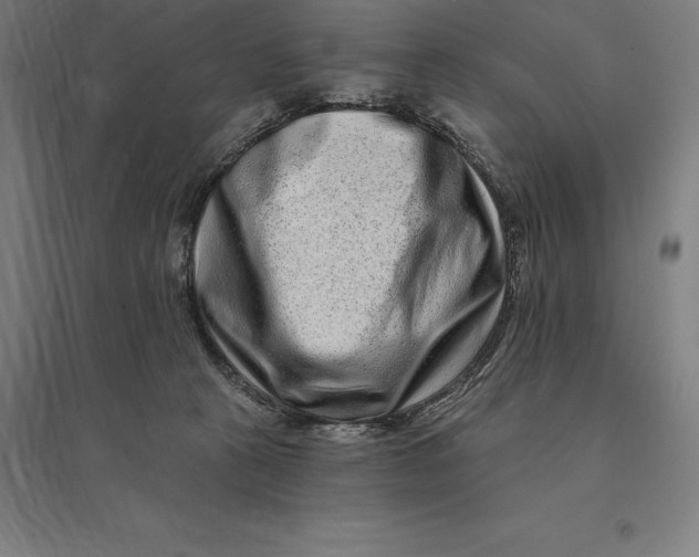 X0000095130273200712301831