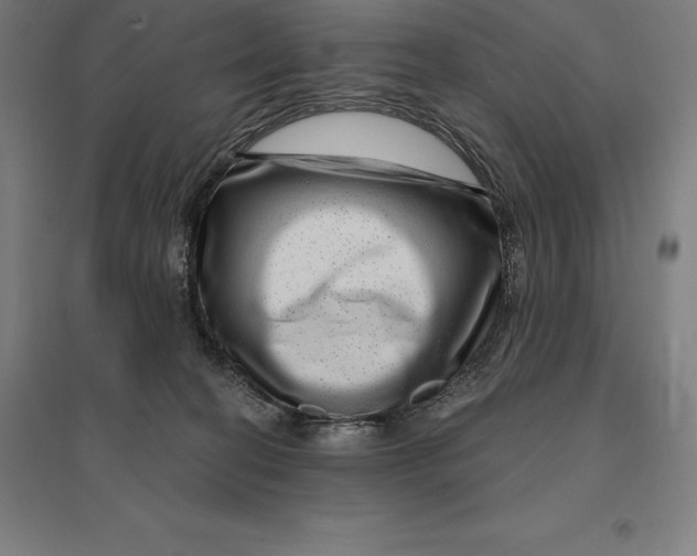 X0000095130274200712301831