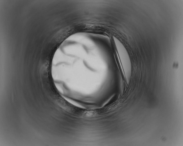 X0000095130275200712301831