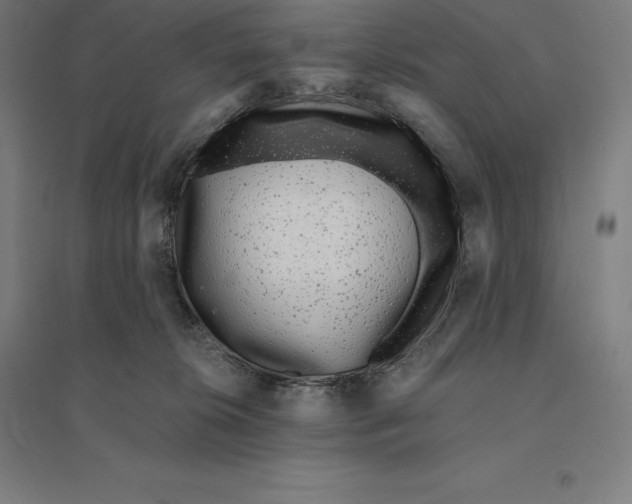 X0000095130276200712301831