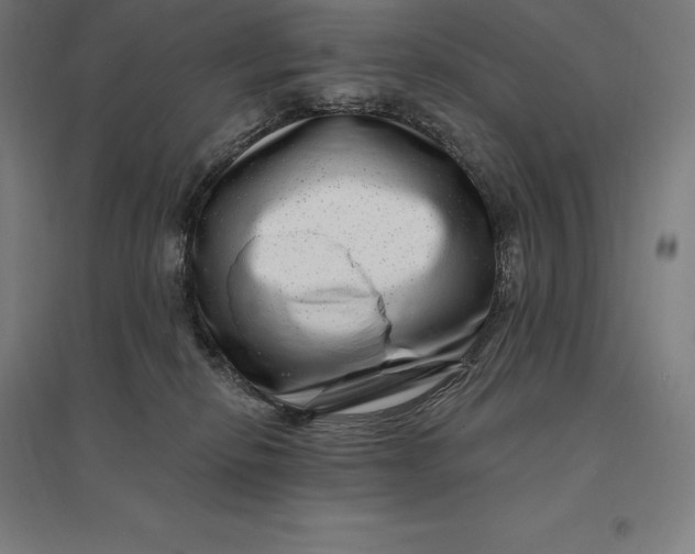 X0000095130278200712301831