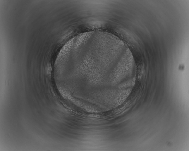 X0000095130279200712301831