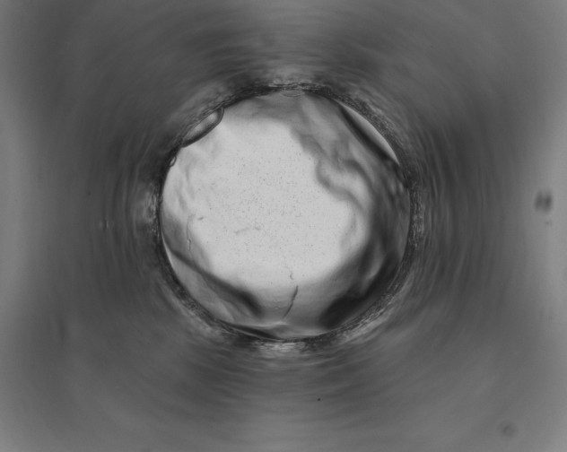 X0000095130281200712301831