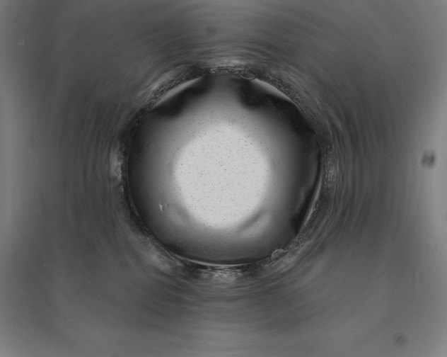 X0000095130282200712301831