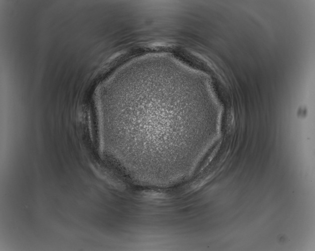 X0000095130284200712301831