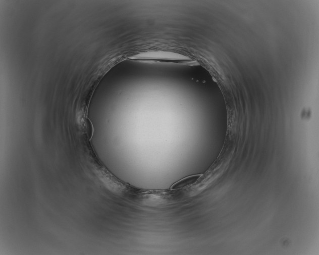 X0000095130285200712301831