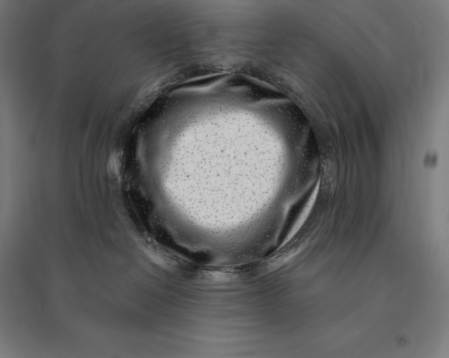 X0000095130286200712301831