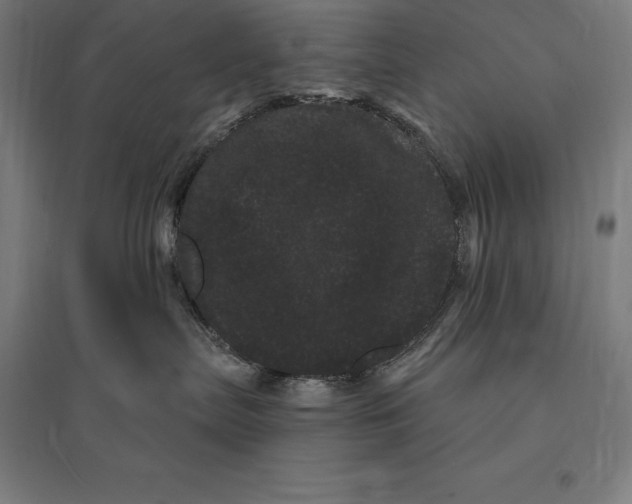 X0000095130287200712301831