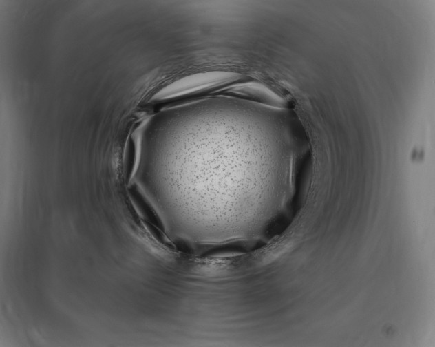 X0000095130288200712301831