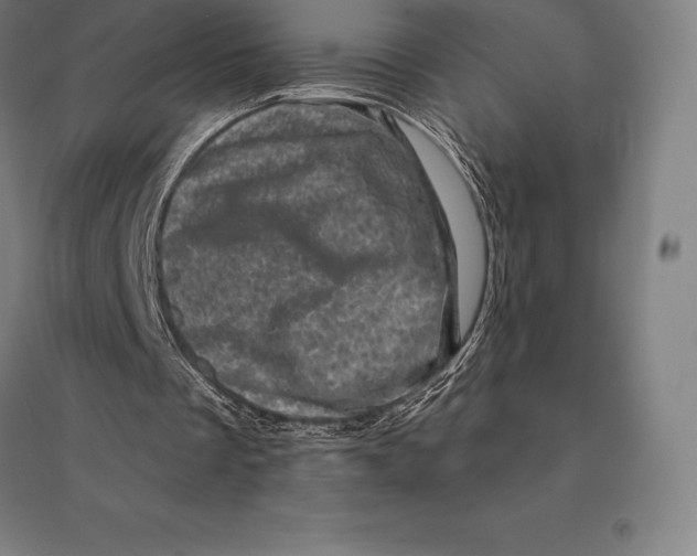 X0000095130289200712301831