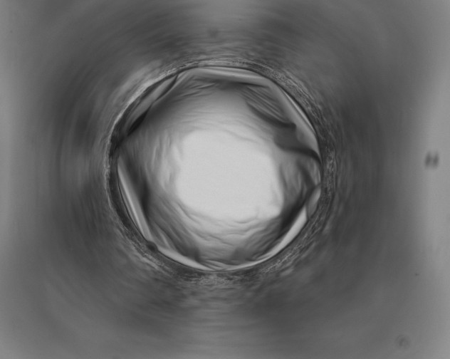 X0000095130290200712301831