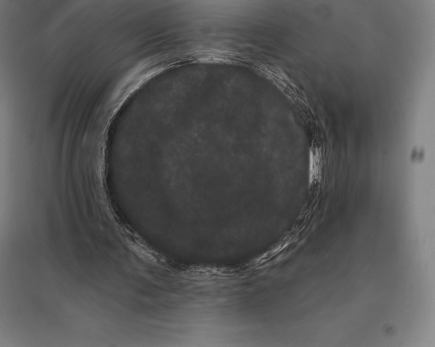 X0000095130291200712301831