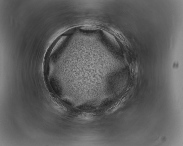 X0000095130292200712301831