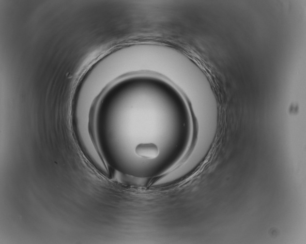 X0000095130293200712301831