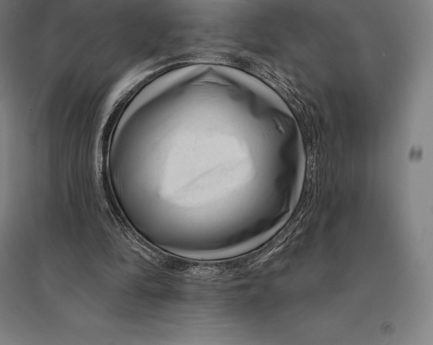 X0000095130294200712301830