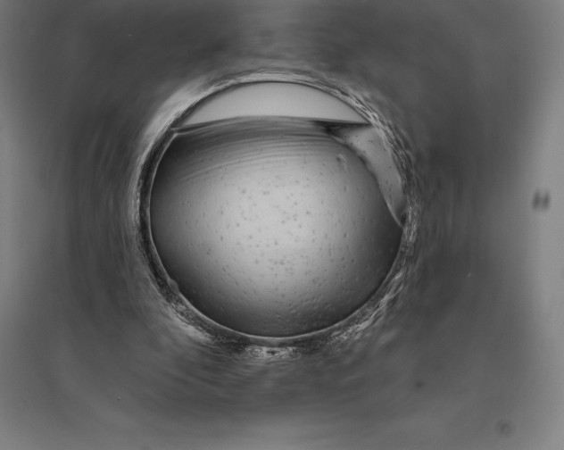 X0000095130296200712301830