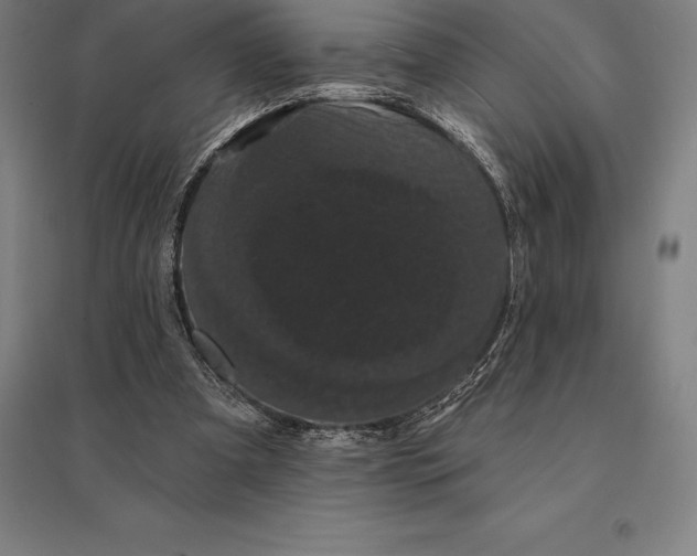 X0000095130297200712301830