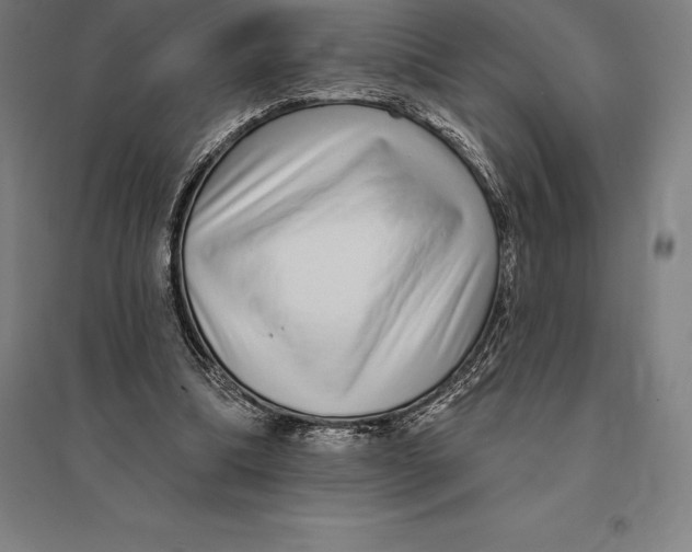 X0000095130298200712301830