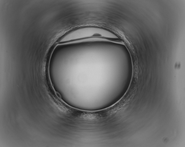 X0000095130299200712301830