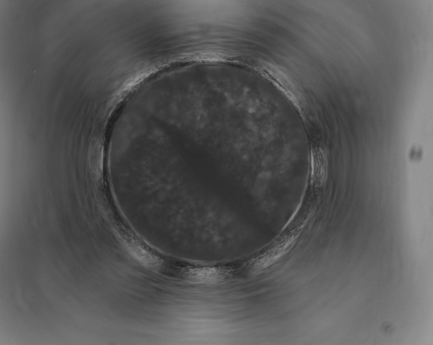 X0000095130301200712301830