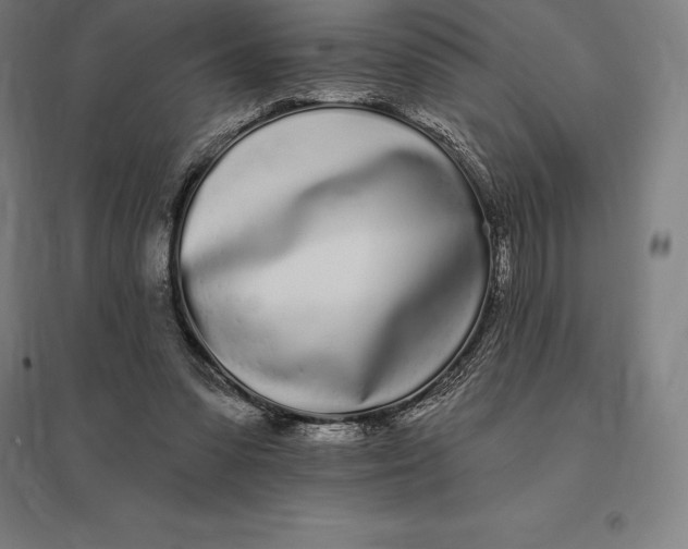 X0000095130303200712301830