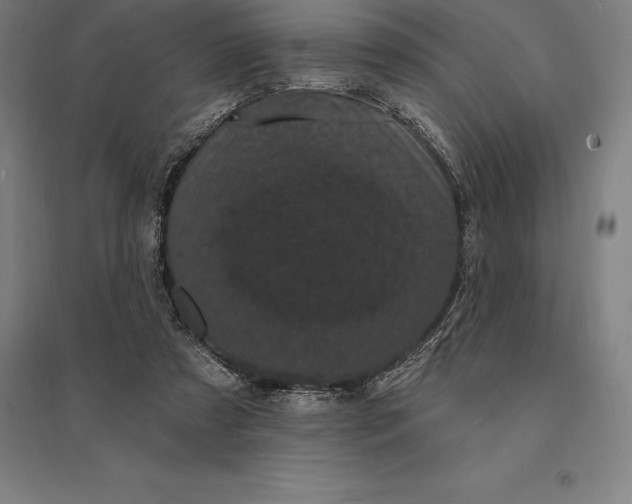 X0000095130305200712301830