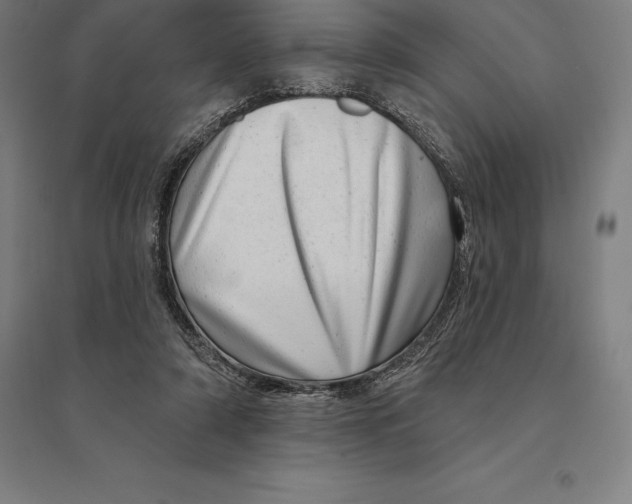 X0000095130306200712301830