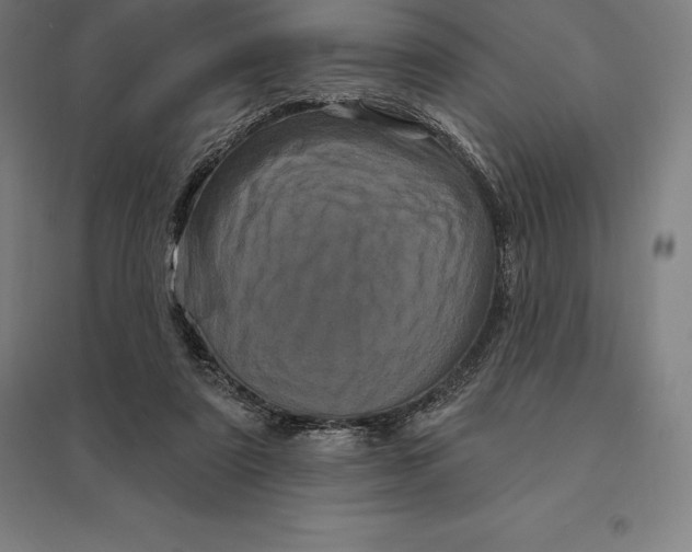 X0000095130307200712301830