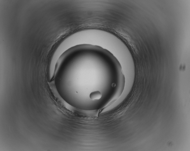 X0000095130308200712301830