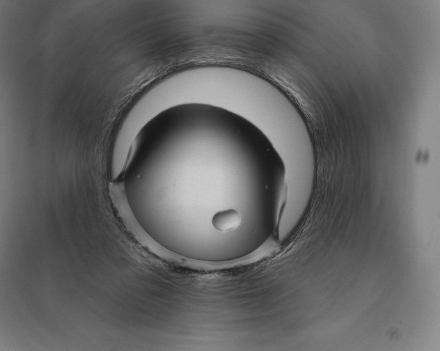 X0000095130309200712301830