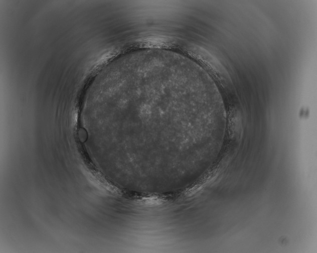 X0000095130310200712301830