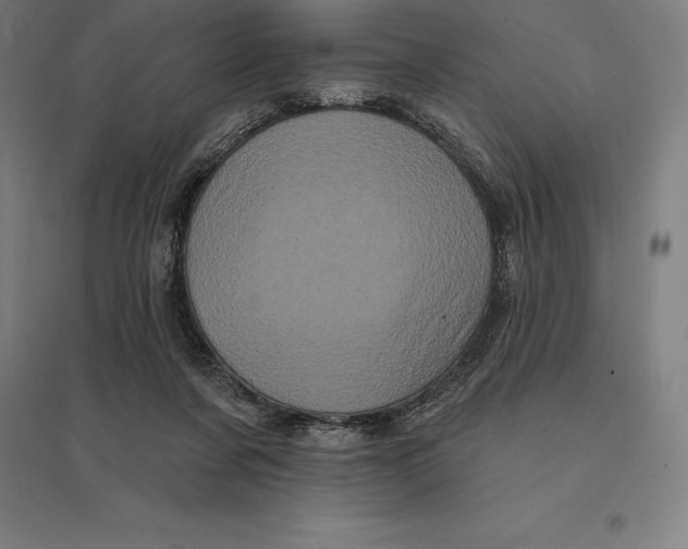 X0000095130311200712301830