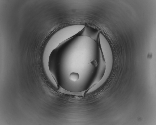 X0000095130312200712301830