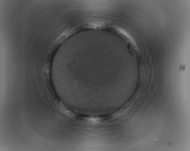 X0000095130313200712301830