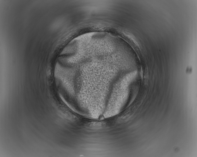 X0000095130314200712301830