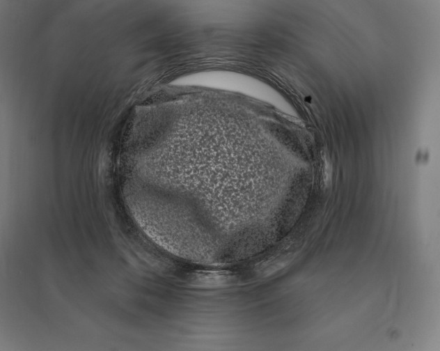 X0000095130316200712301830