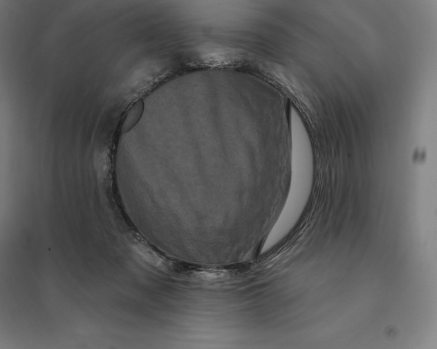 X0000095130317200712301830