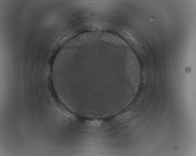 X0000095130318200712301830