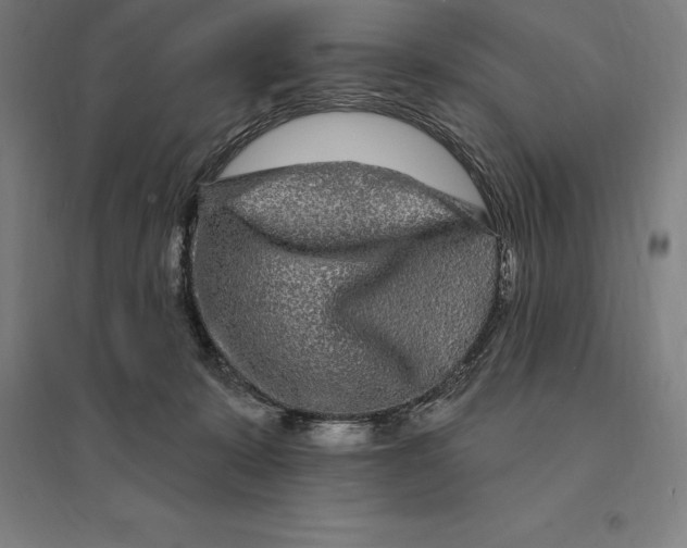 X0000095130319200712301830