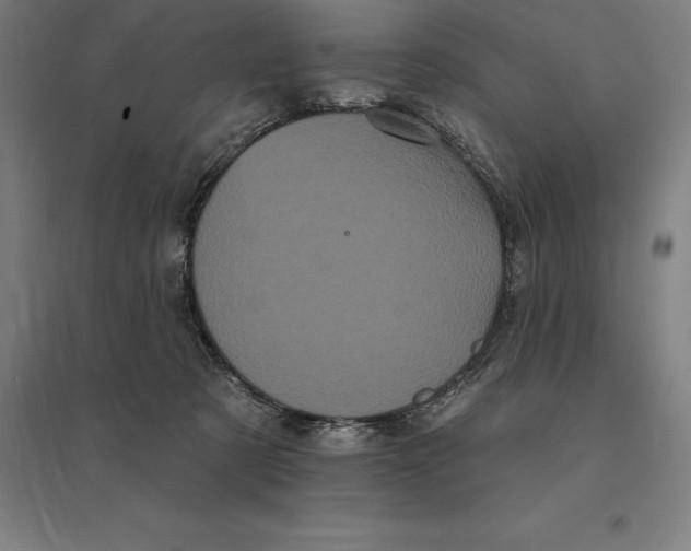 X0000095130321200712301830