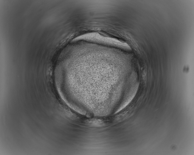 X0000095130322200712301830