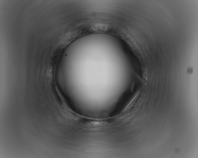 X0000095130323200712301830