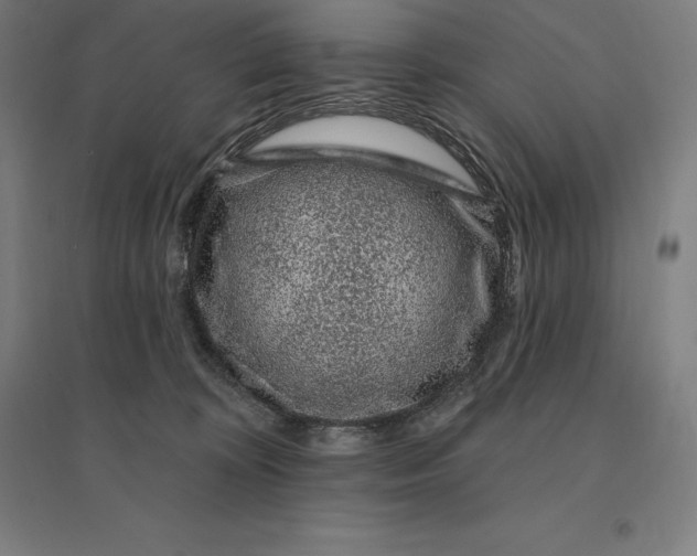 X0000095130324200712301830