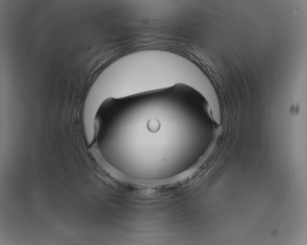 X0000095130325200712301830