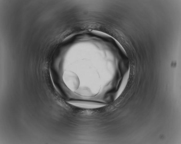 X0000095130326200712301830