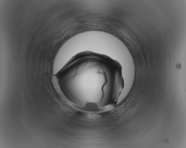 X0000095130327200712301830