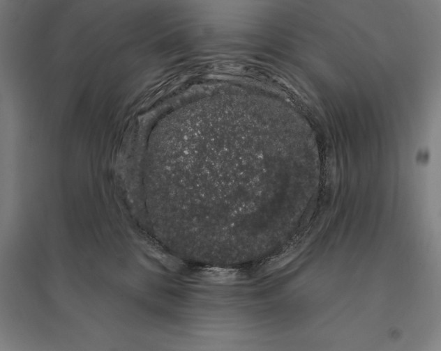 X0000095130328200712301830