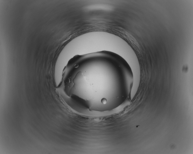 X0000095130329200712301830