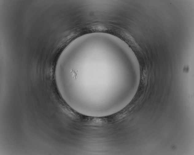 X0000095130330200712301830