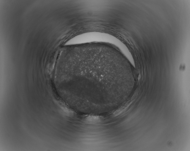 X0000095130332200712301830